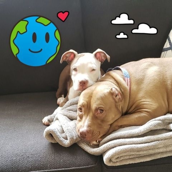 Meet your Posher, Adam - Picture 1 of 1